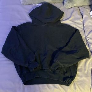 Aritzia Hoodie
